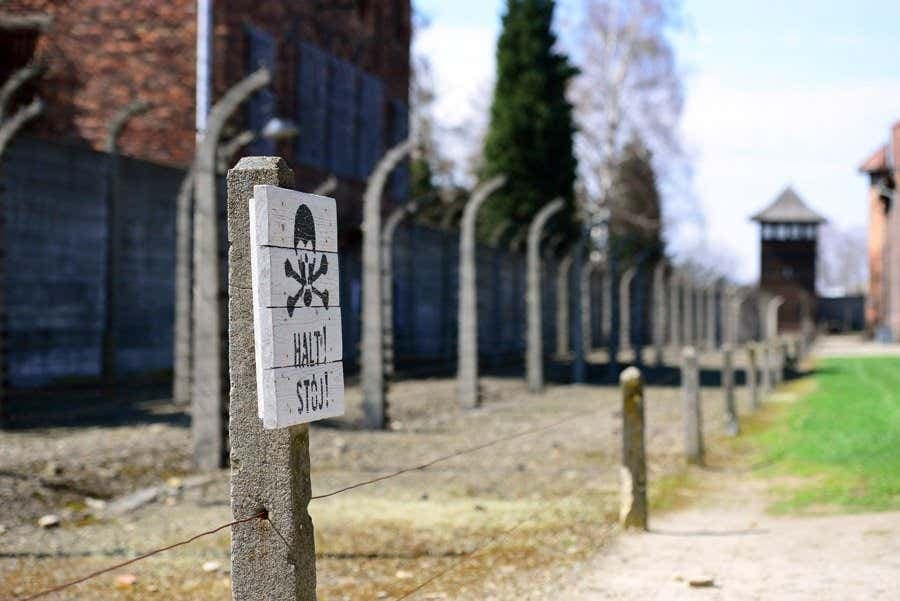 Offerta: Auschwitz + Miniera di Sale in un solo giorno