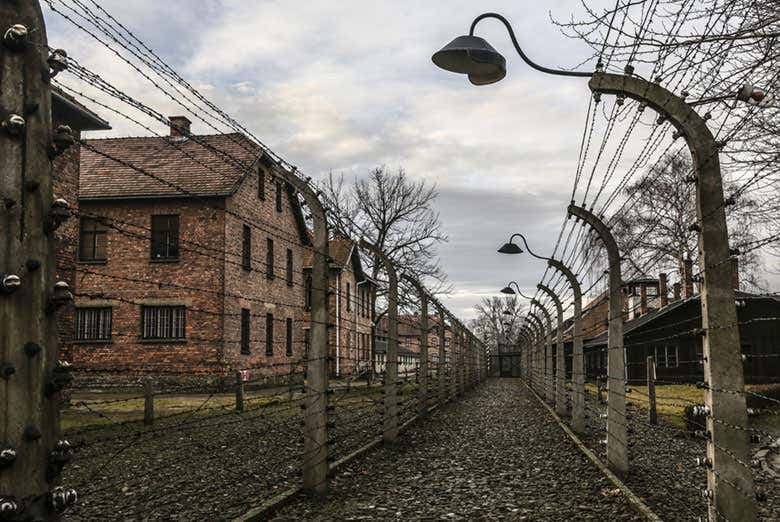 Excursión a Auschwitz-Birkenau con guía