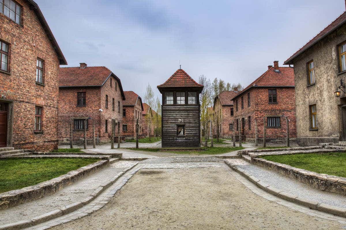 Auschwitz Day Trip