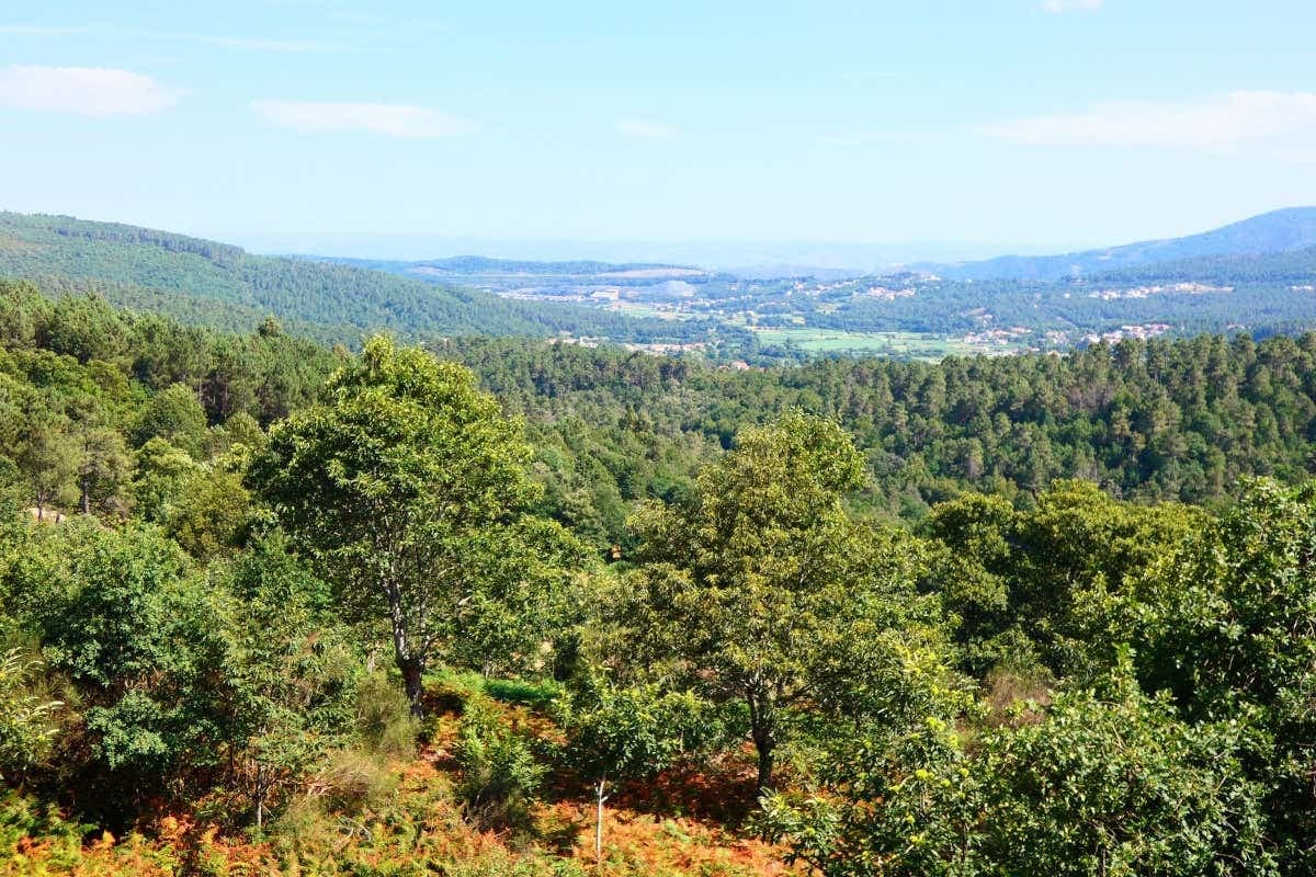 Senderismo por el Parque Natural do Alvão