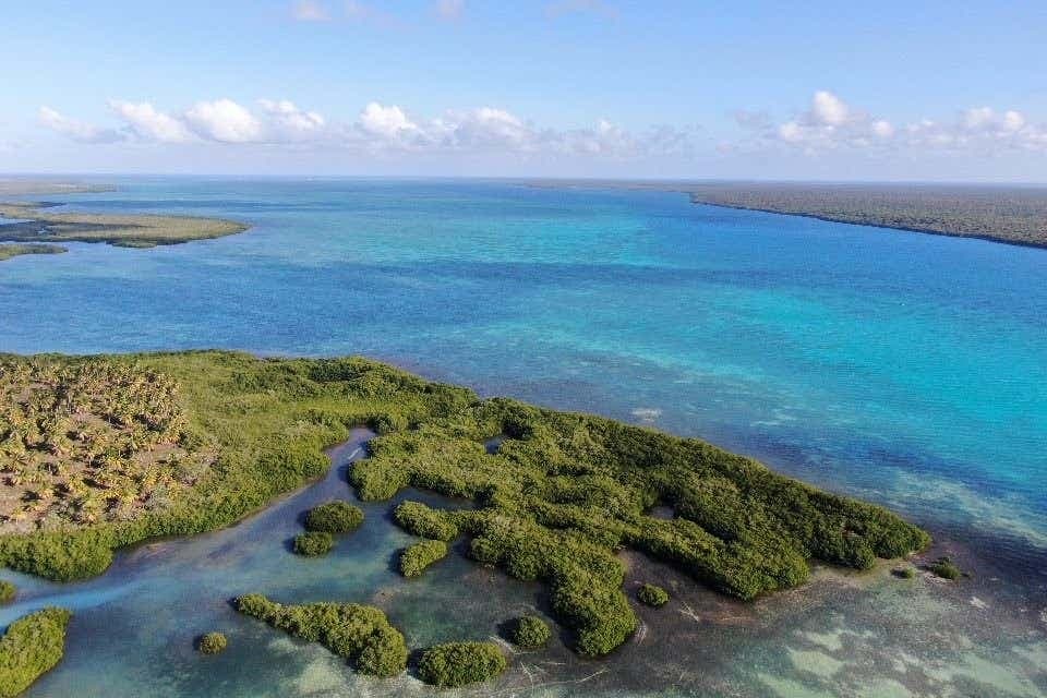 Excursión a la isla Saona + Altos de Chavón