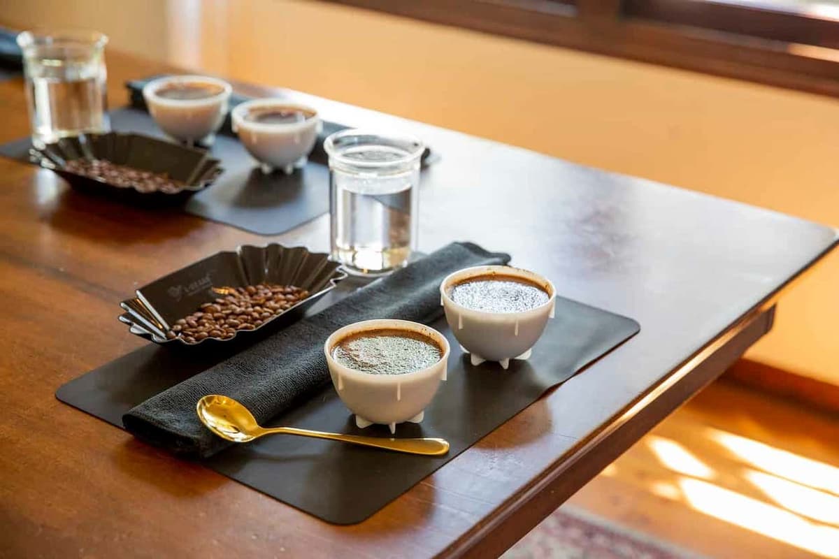 Kigali Coffee Tasting Experience