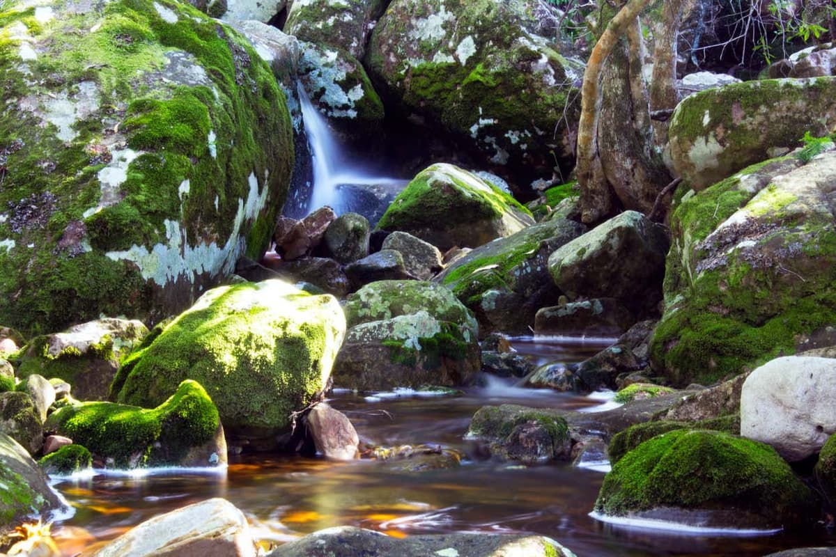 Trekking a Skeleton Gorge