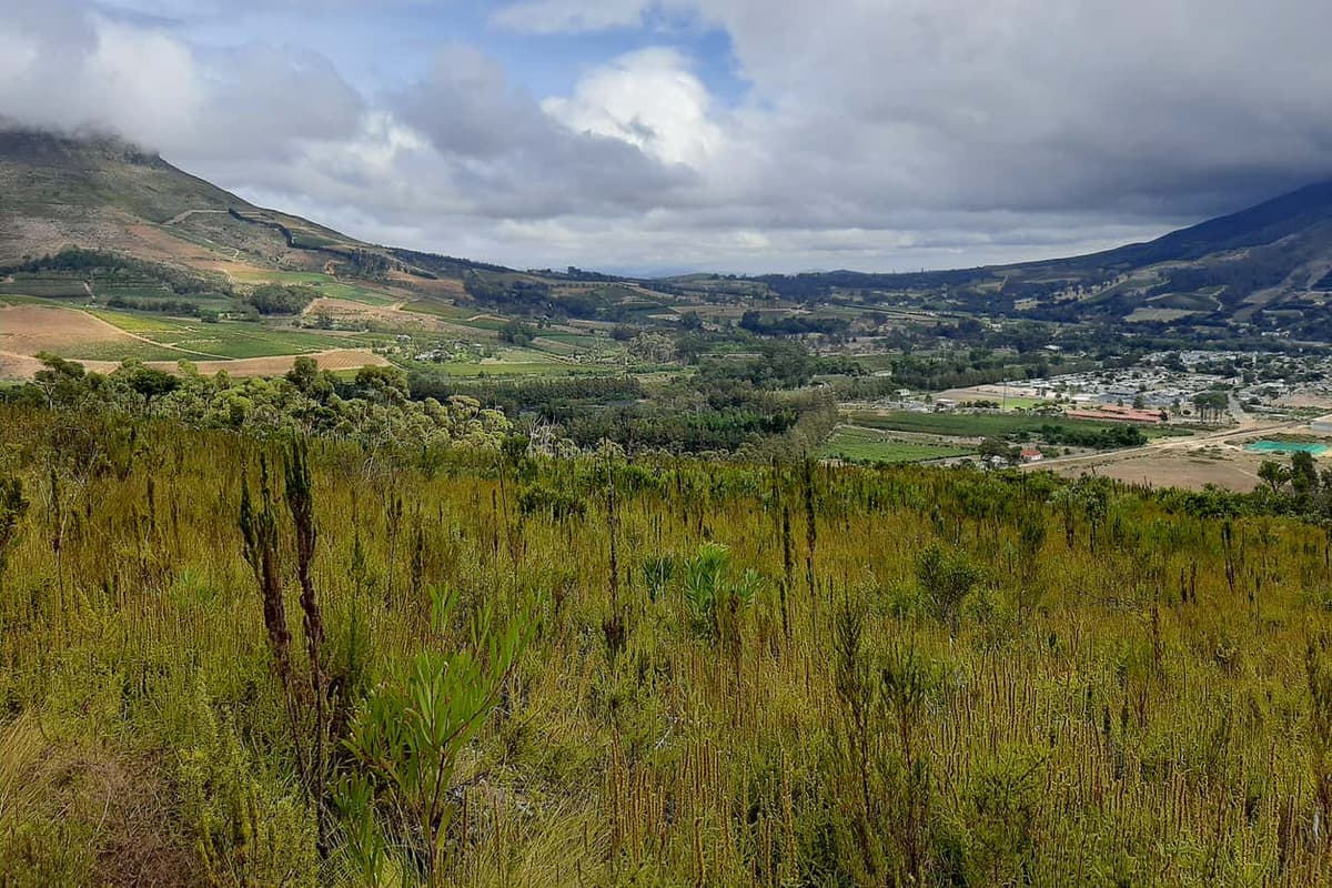 Hiking in the Banhoek Valley + Winery Visit