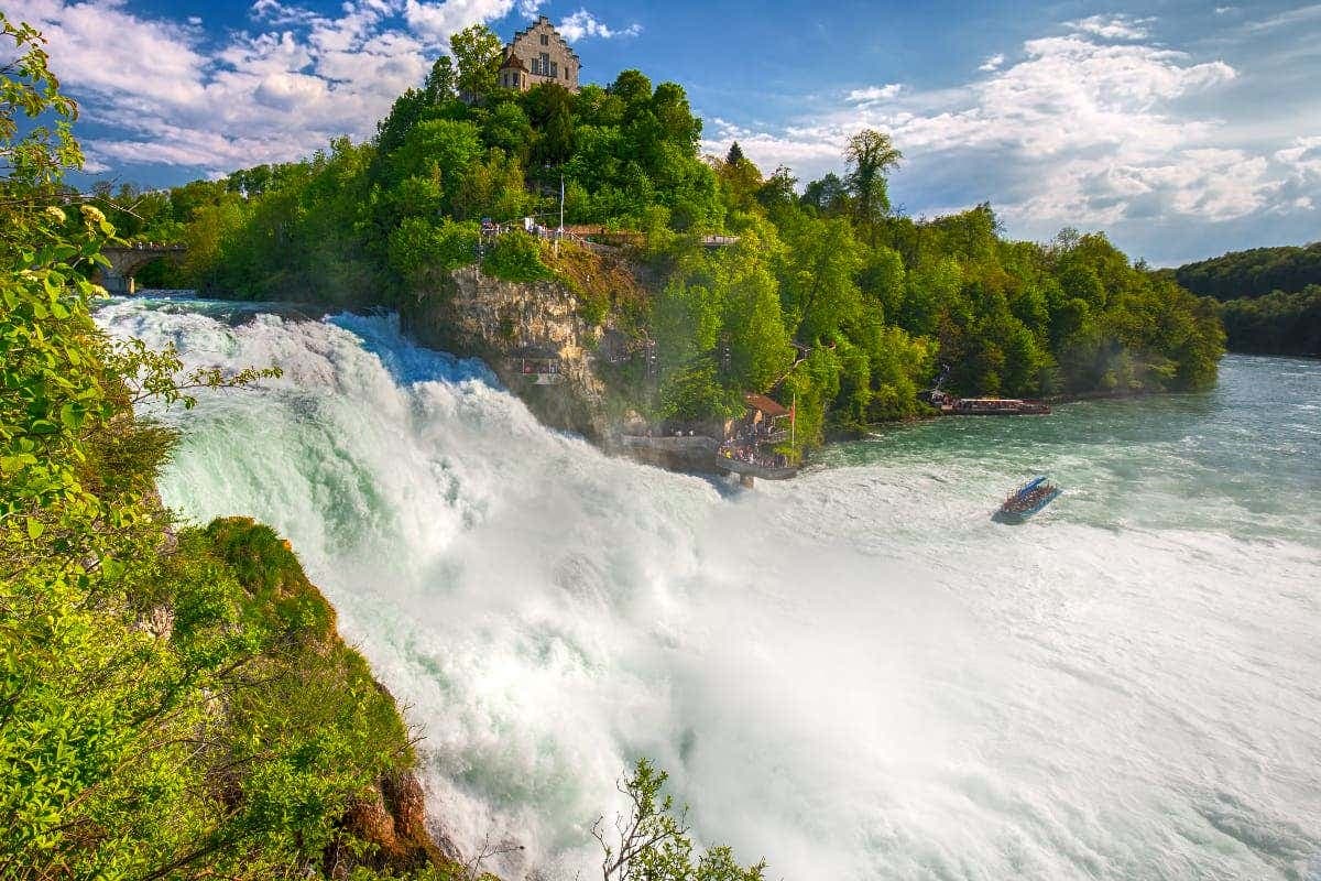 Rhine Falls Half-Day Trip