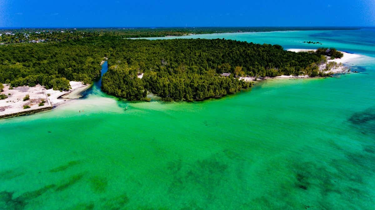 Day Trip to Michamvi