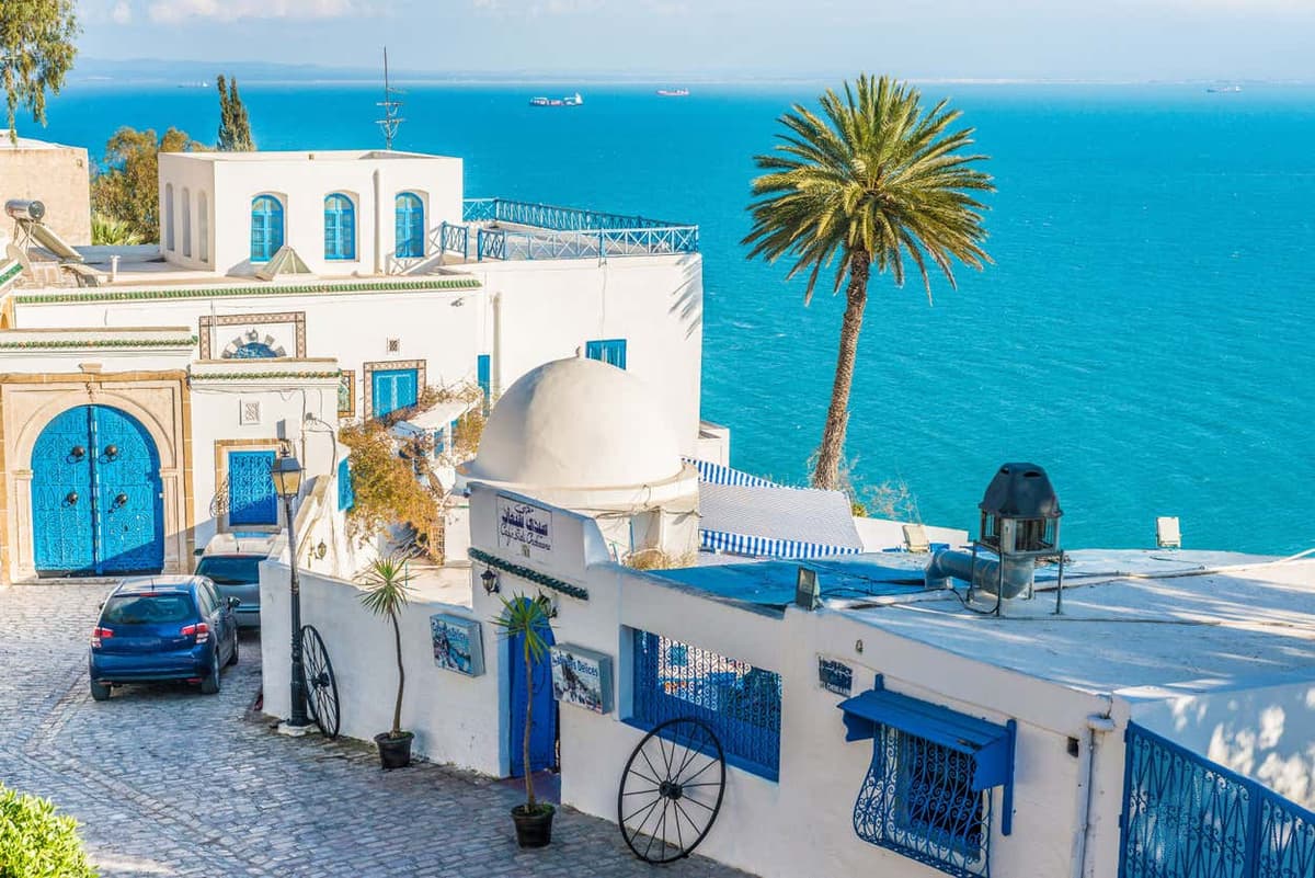 Carthage & Sidi Bou Said Tour