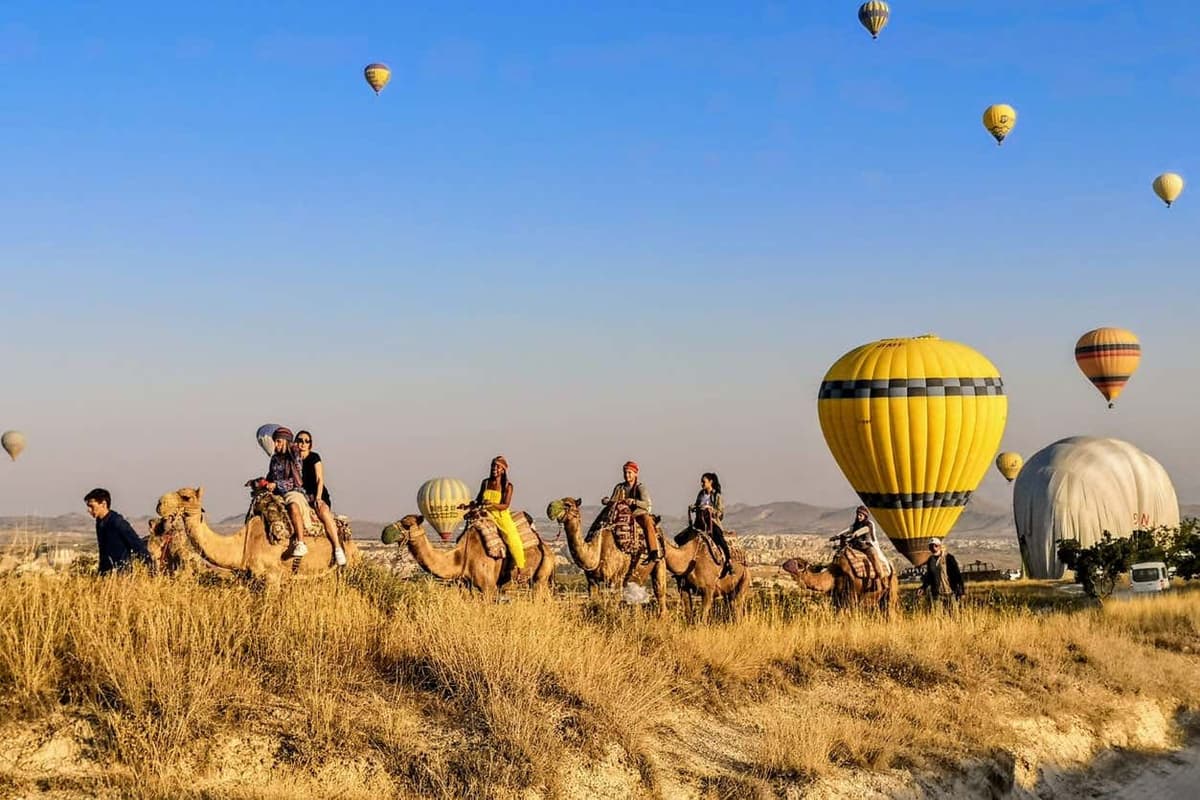 Cappadocia Camel Ride
