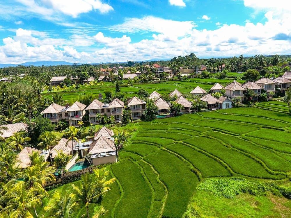 Mesari Hotel Ubud