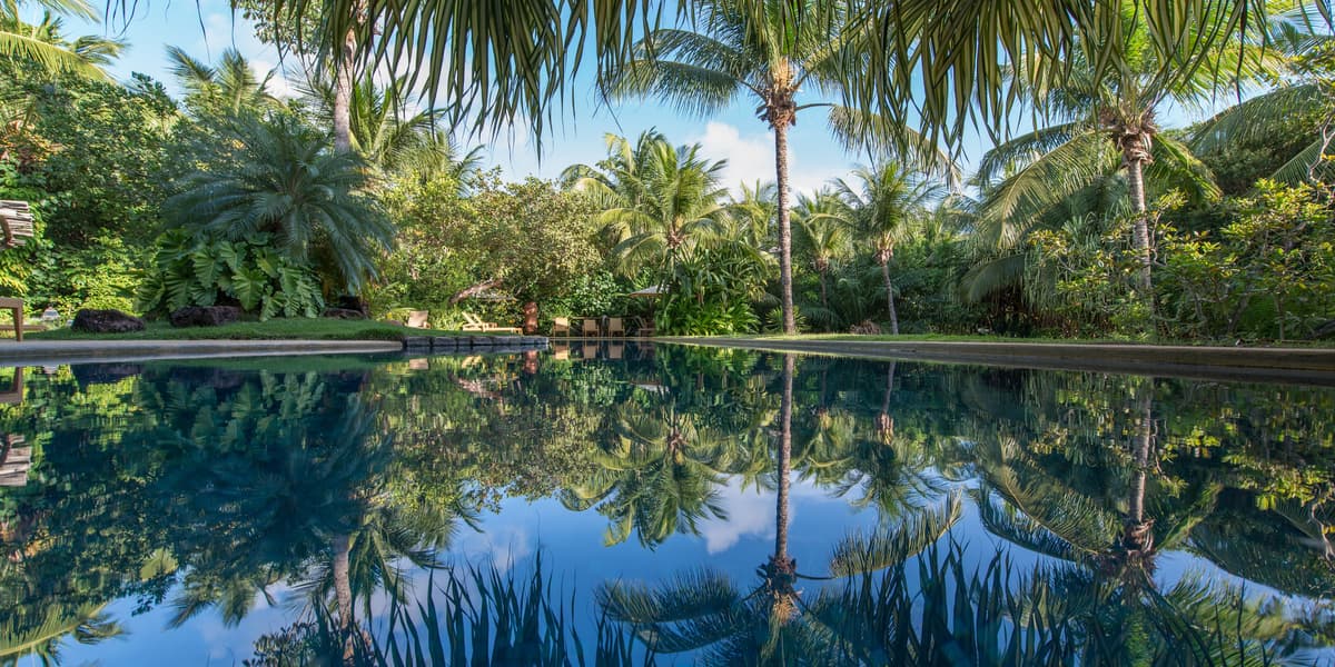 Toca da Coruja - Eco Luxury Retreat