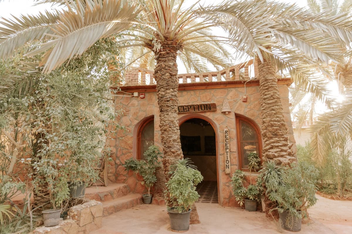 siwa safari paradise hotel