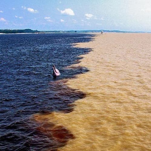 Encontro das Águas + Lago Janauari + Experiência com Botos + Visita à Tribo Indígena - Manaus