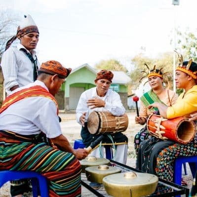 Assistere ad uno spettacolo di danze tipiche   - Chitwan