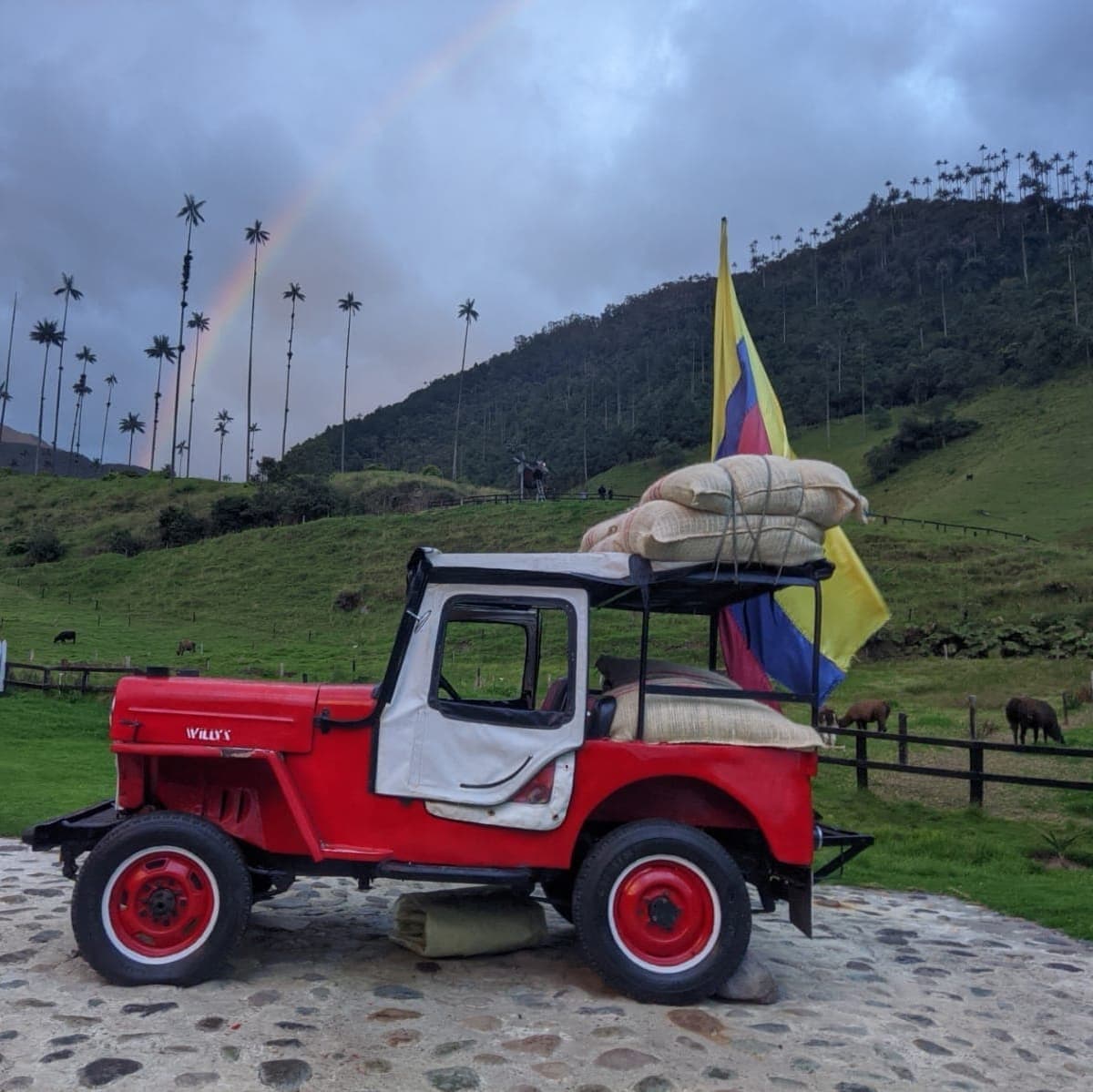 Know The Wax Palms In Cocora Valley And Salento Town (Shared) - Armenia, Quindio