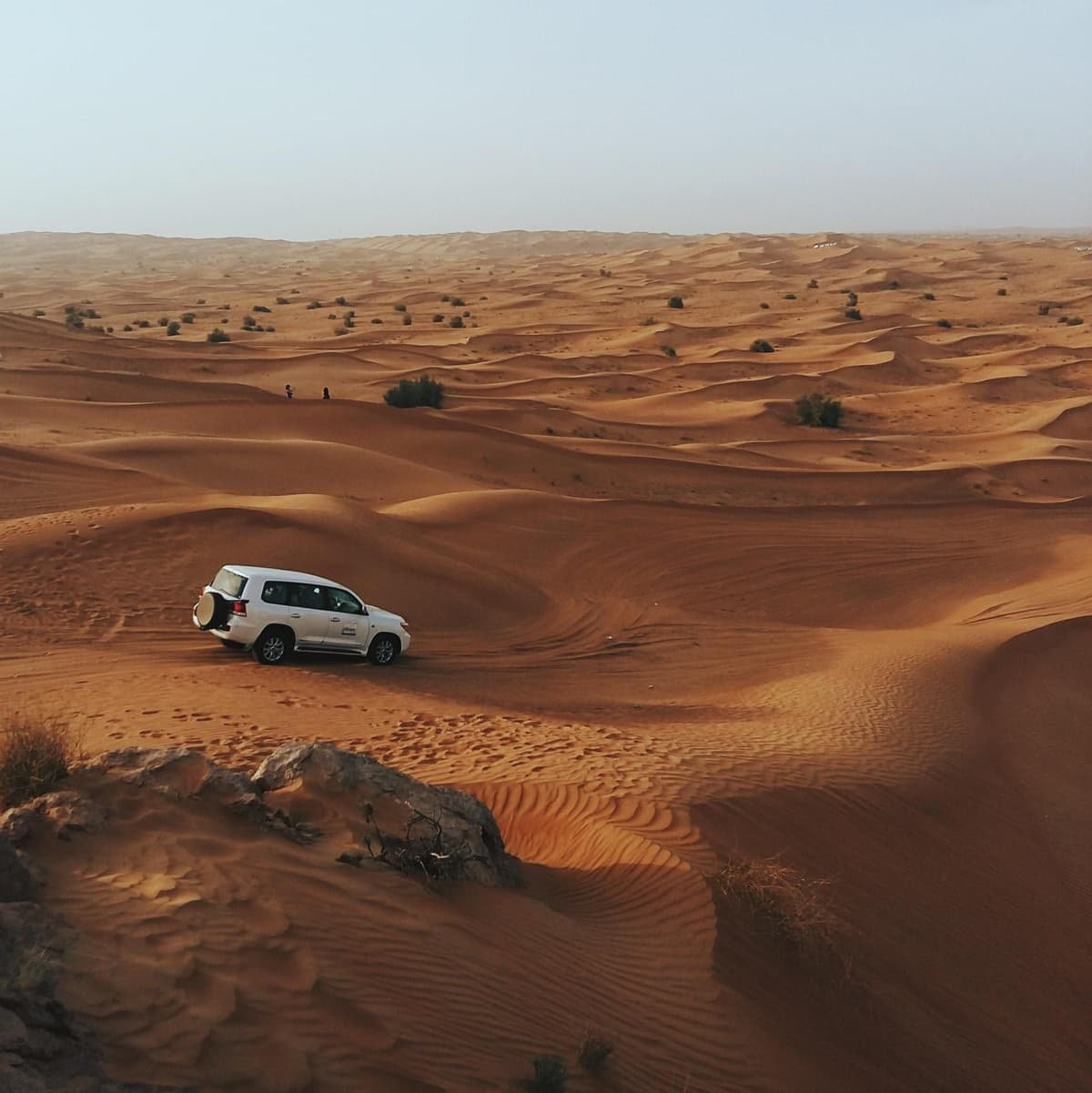 Desert Safari - Dubai