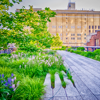 High Line Park una delle passeggiate più scenografiche di New York - New York NY