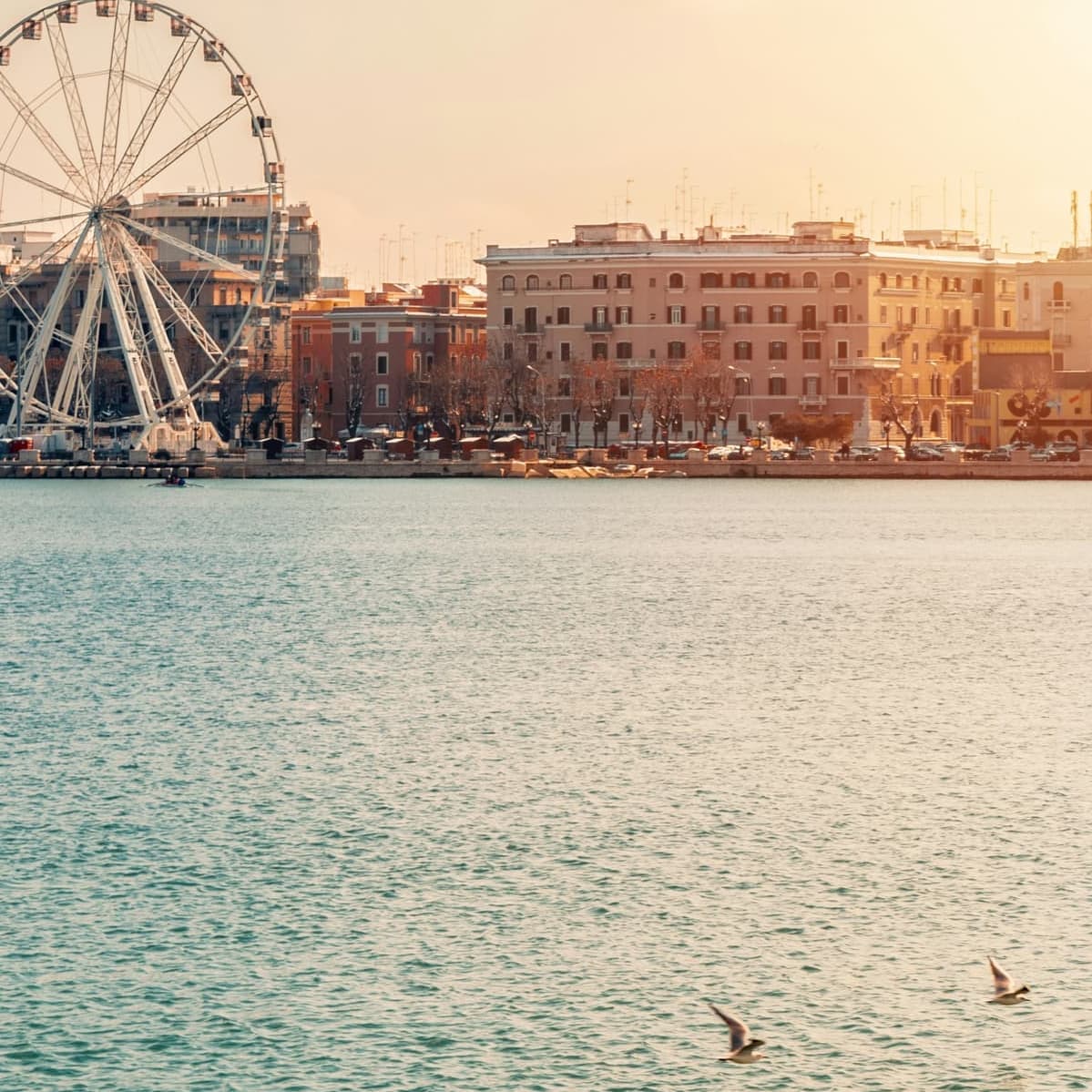 Shore Excursion Options  - 巴里