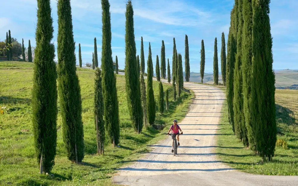 Tour Guiado en Bicicleta por Chianti con Almuerzo y Degustación de Vino en Grupo Reducido