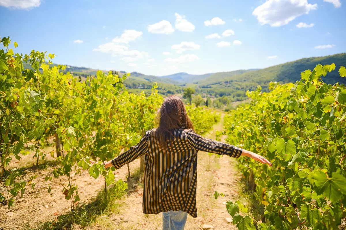Visita a la Toscana desde Florencia, Incluida la Región vinícola de Chianti en Privado con Recogida