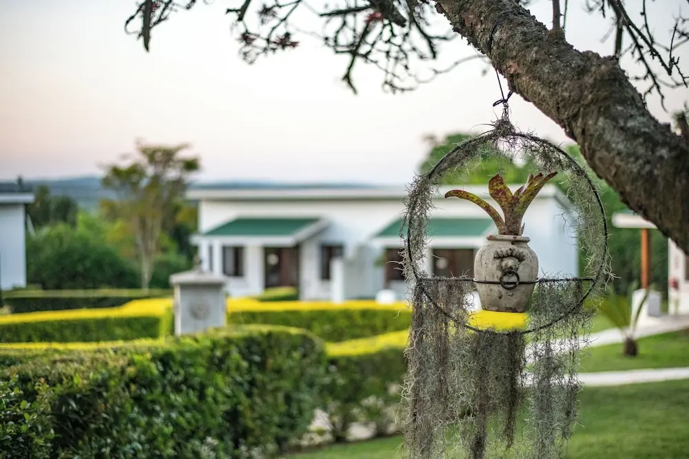 Nut Grove Boutique Hotel