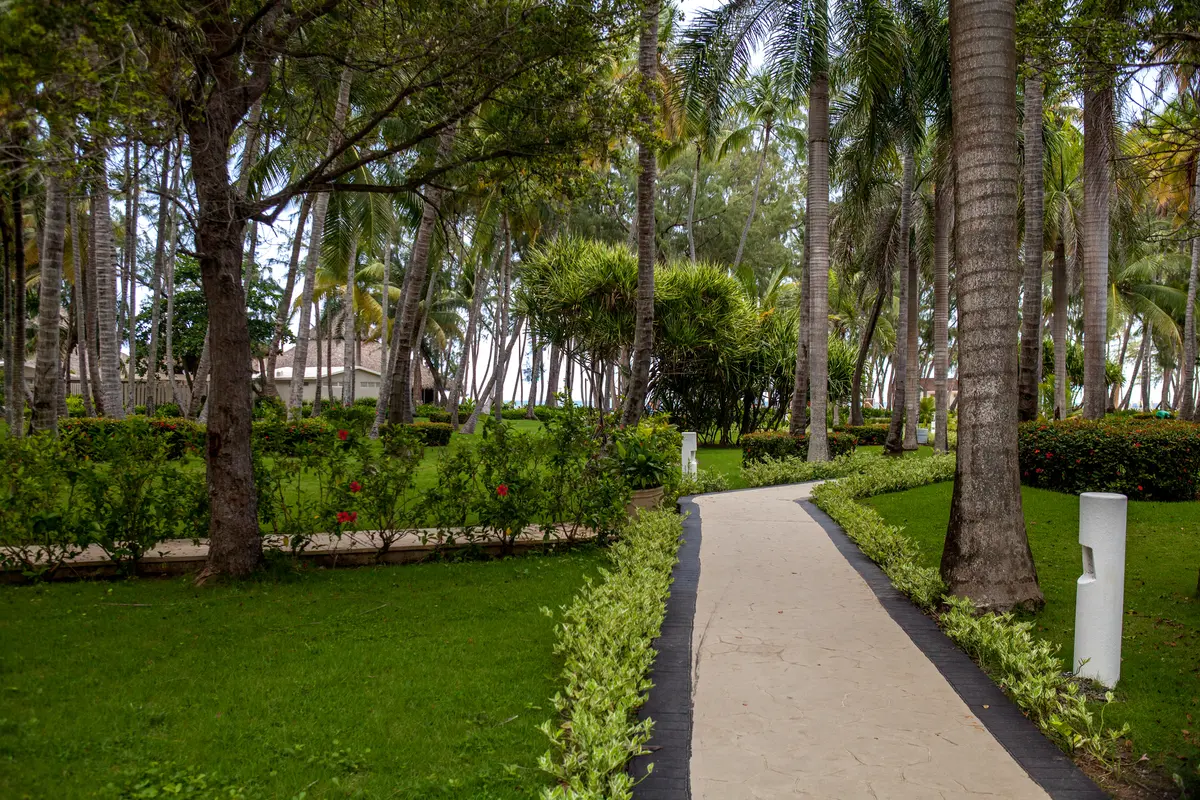 Vista Sol Punta Cana Beach Resort & Spa, foto 8