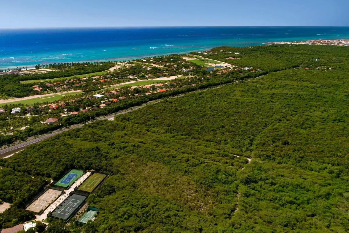 Four Points by Sheraton Puntacana Village, imagen 3