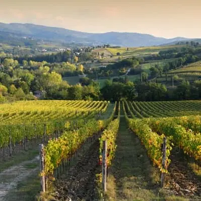 San Gimignano: Mittelalterlicher Schatz und Weinverkostung - San Gimignano