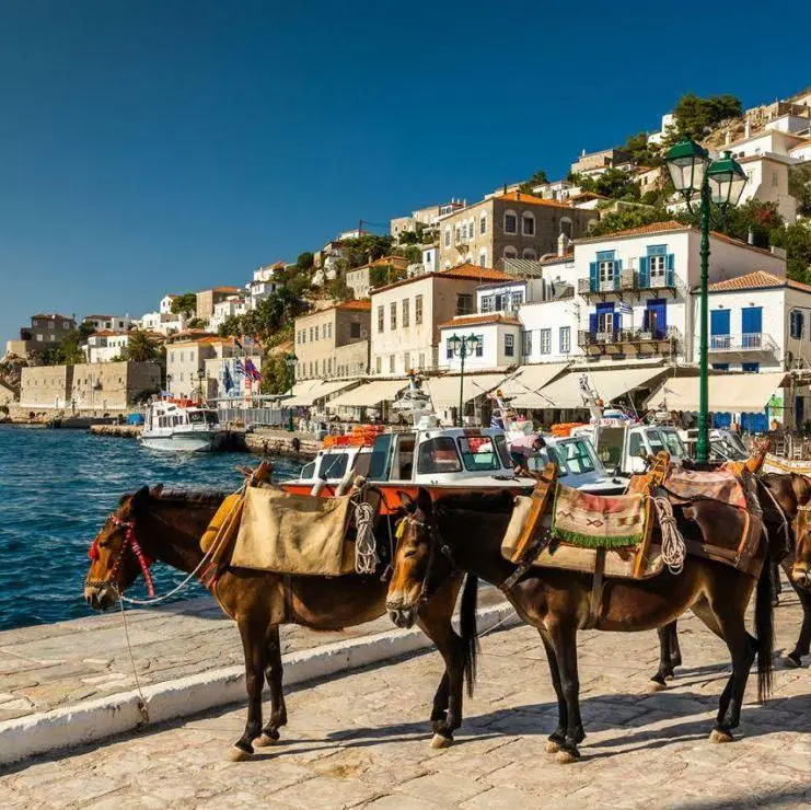 1 Day Cruise to the Islands (Aegina-Poros-Hydra) - Atenes