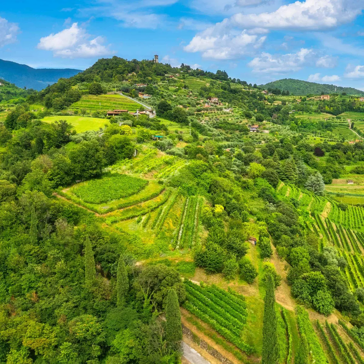 Bergamo Alta and Franciacorta Wine Tasting - برگمو