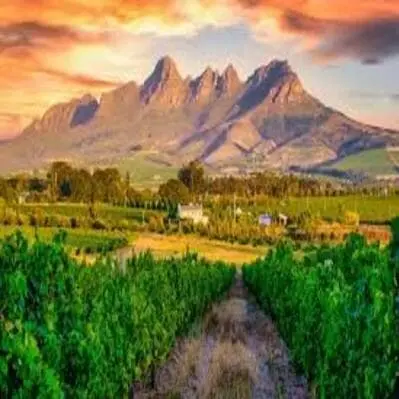 Optional Table Mountain & Stellenbosch Wine Estates Tour (With Lunch) - Stellenbosch