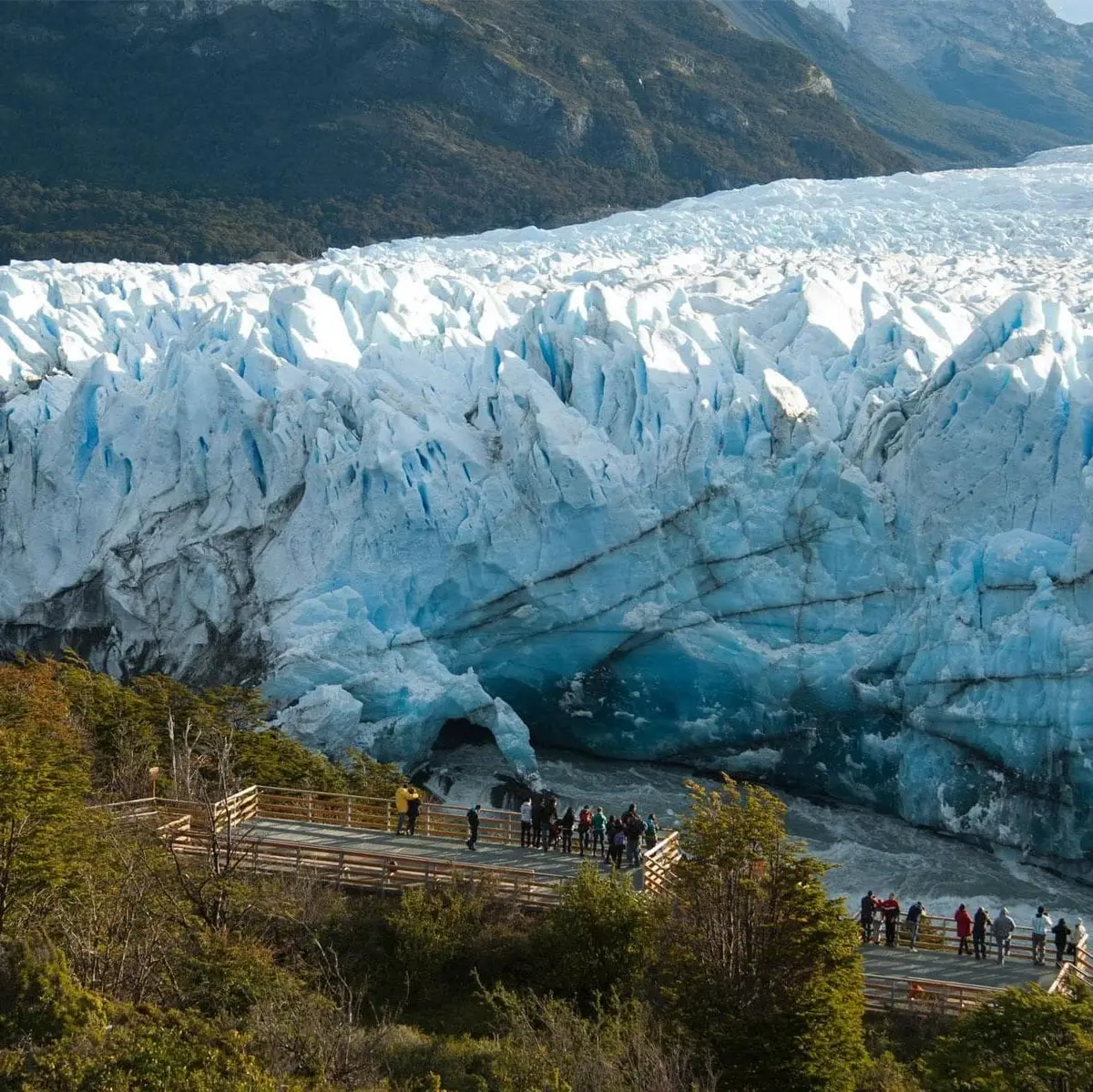 Excursión Perito Moreno - אל קלפטה