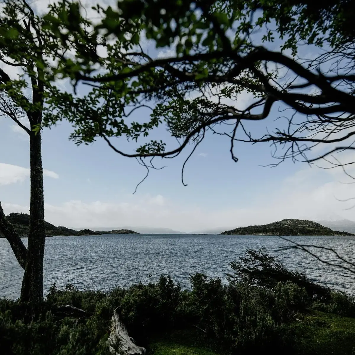 Tierra del Fuego National Park: Trekking through the forests and bays of the Beagle Channel - Ushuaia