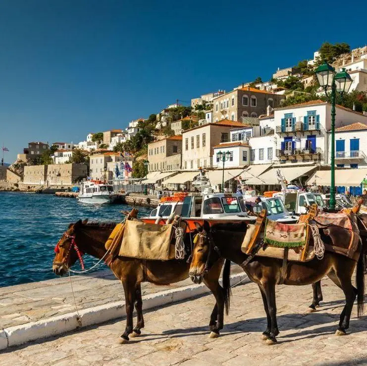 1 Day Cruise to the Islands (Aegina-Poros-Hydra) - Athen