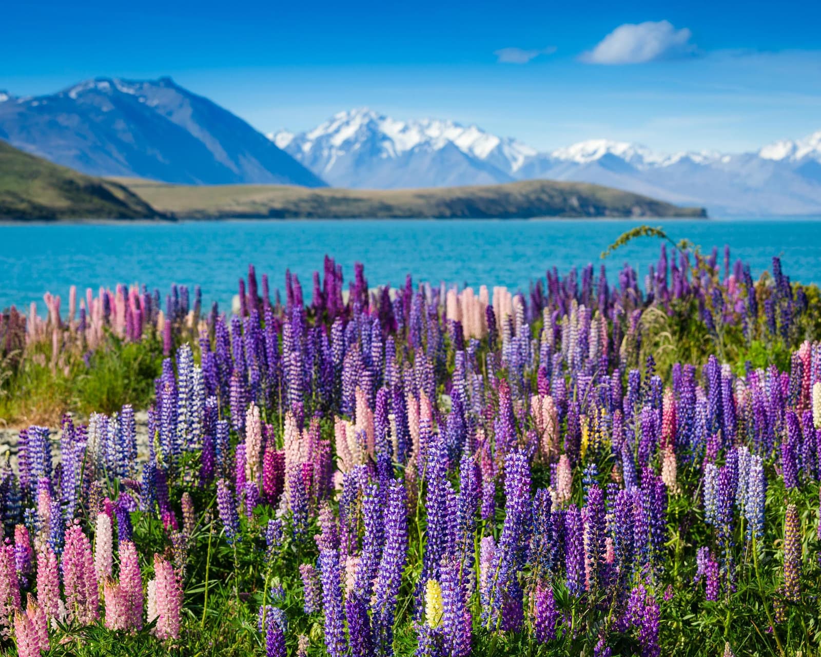 Aotearoa Tour 2026/2027