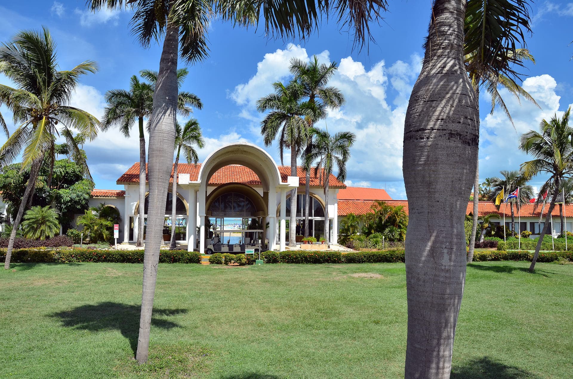 Starfish Cayo Guillermo
