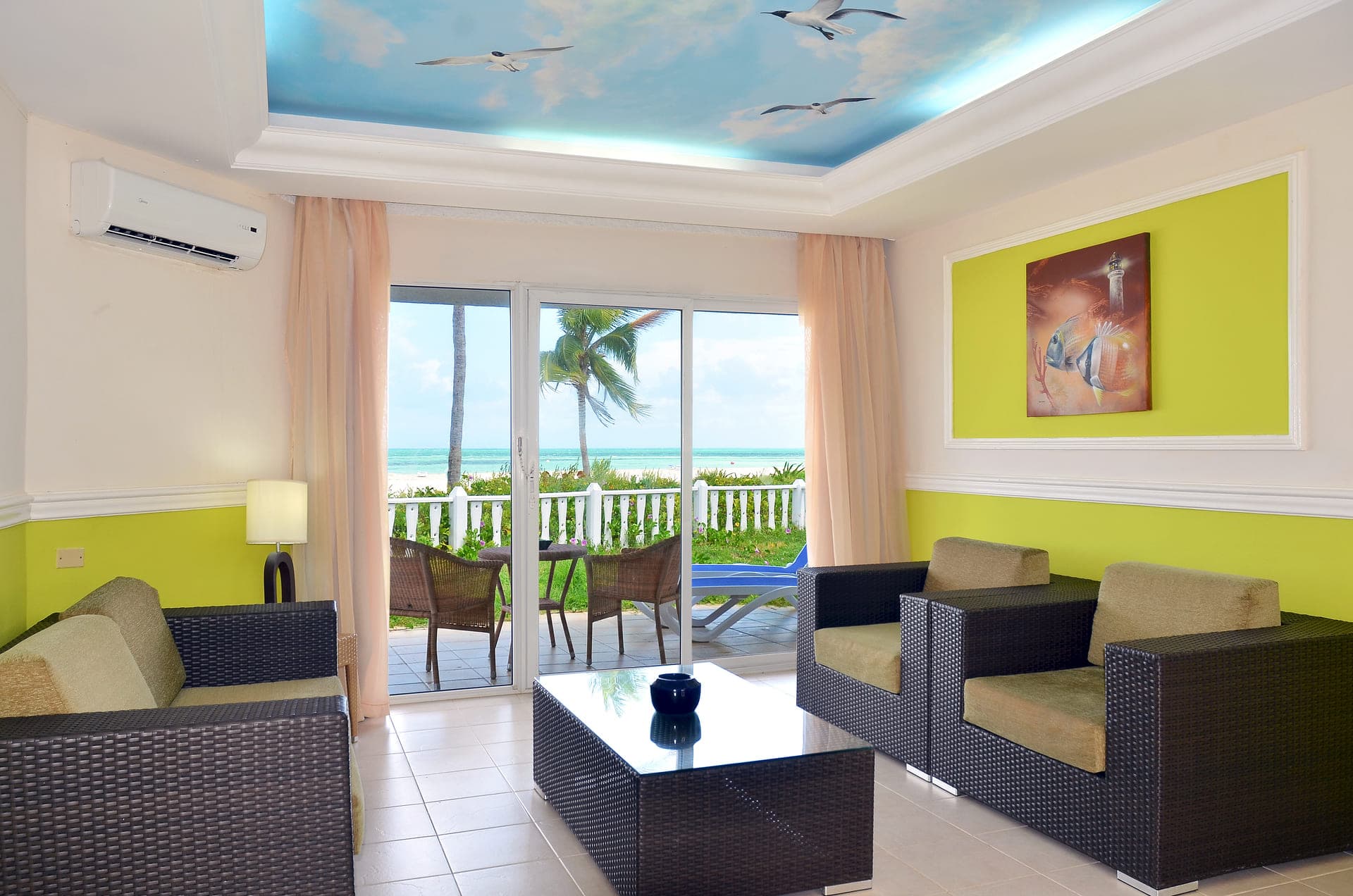 Starfish Cayo Guillermo