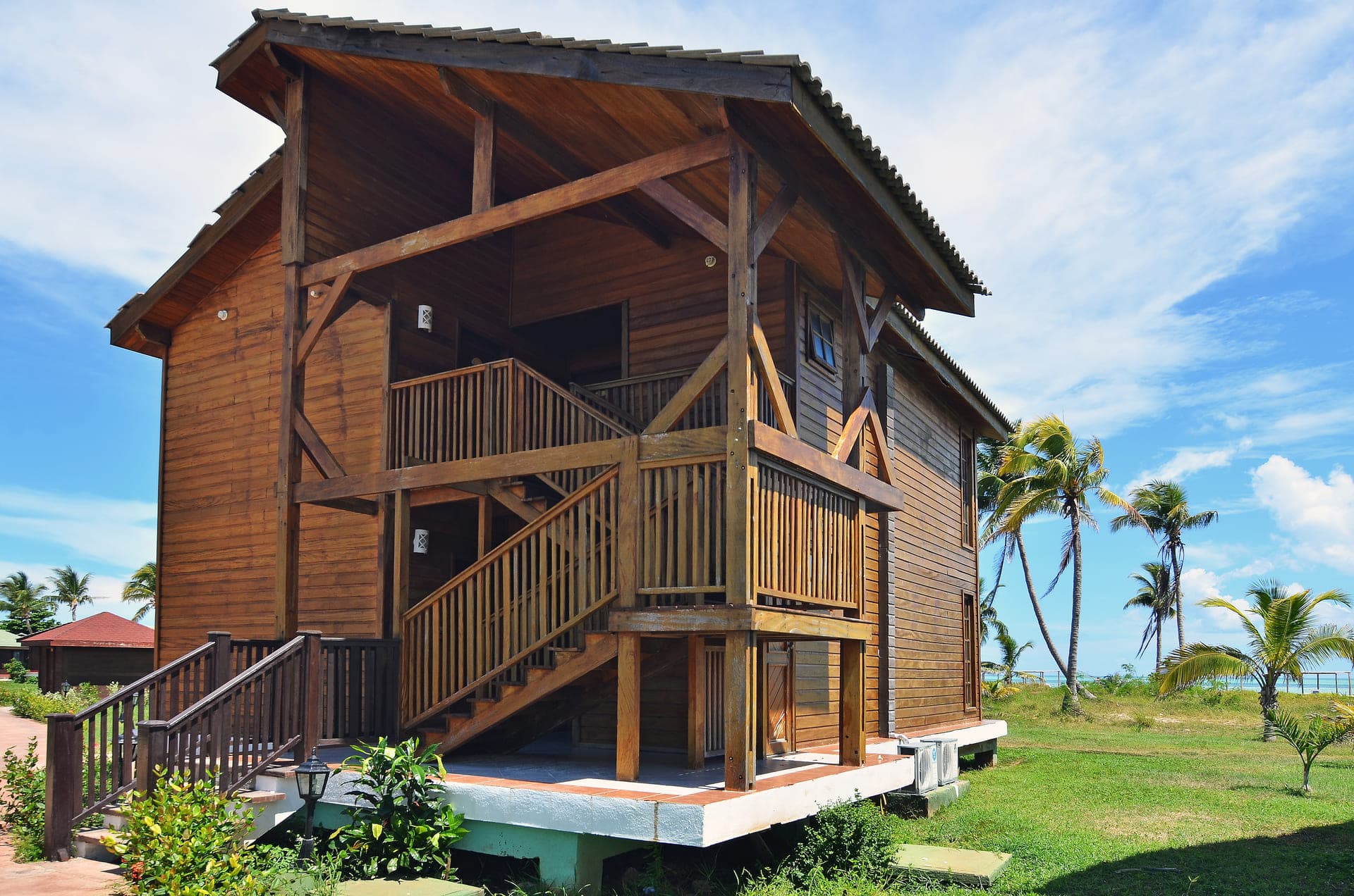 Starfish Cayo Guillermo