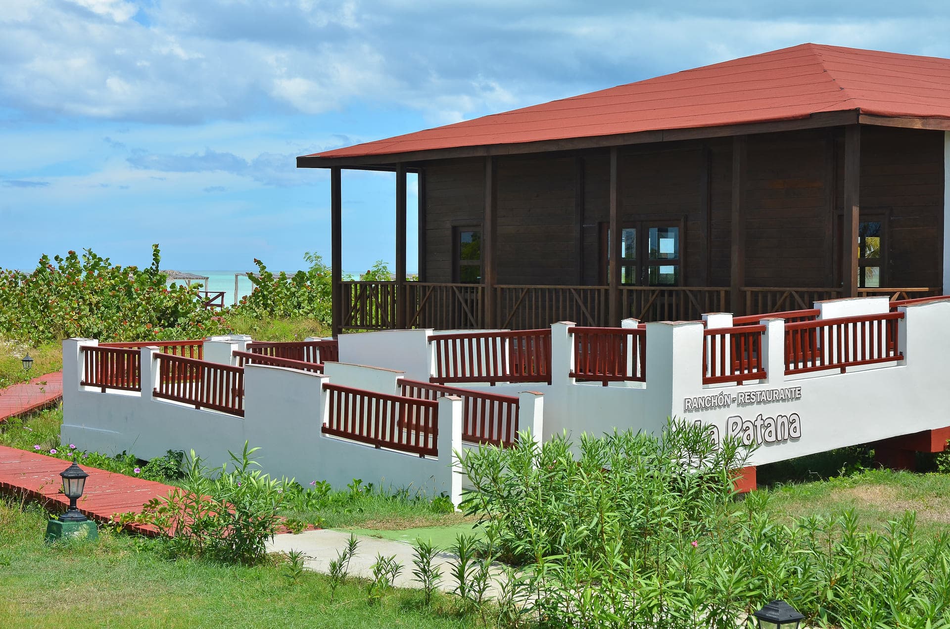 Starfish Cayo Guillermo