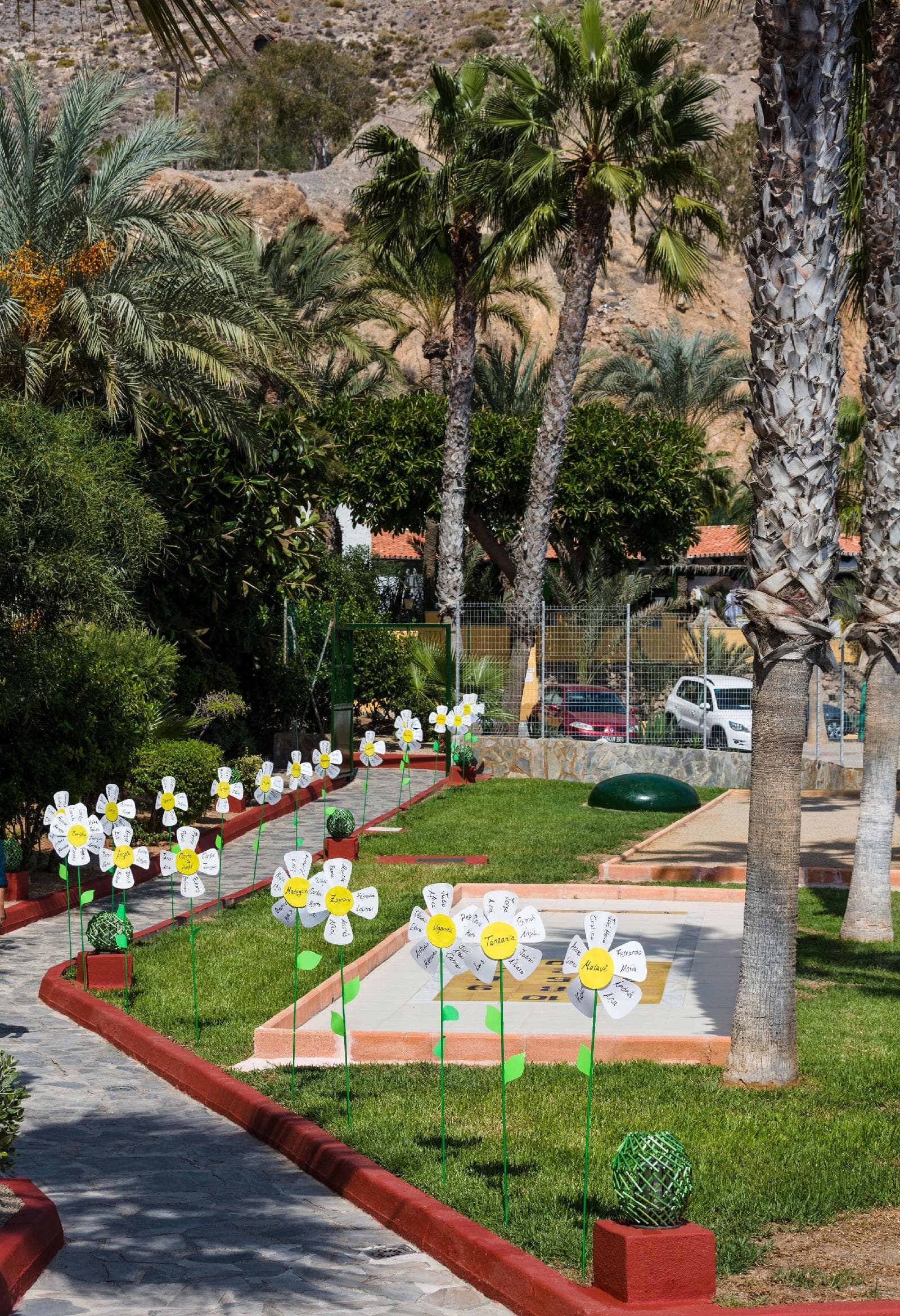 Mirador del Cabo Affiliated By Senator