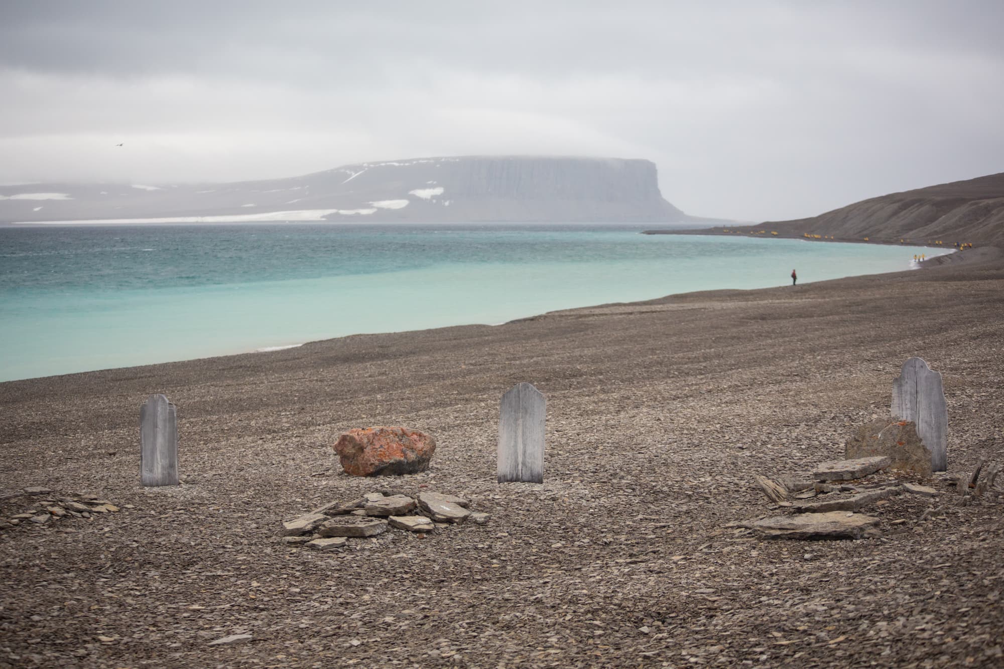 Canadian Arctic: Wildlife, Helicopters, & the Northwest Passage (Nuuk)