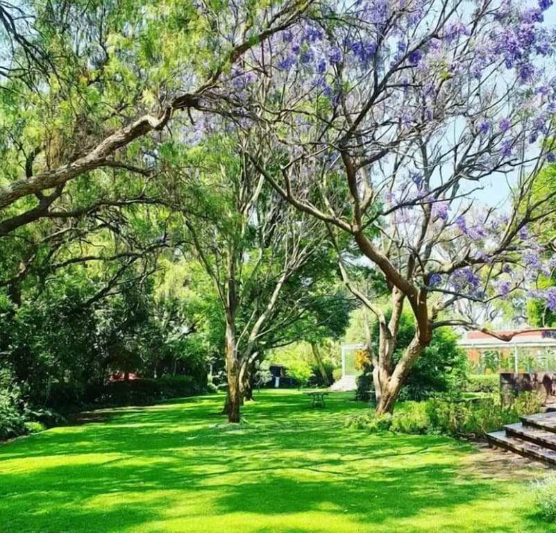 Hotel Rancho San Juan Teotihuacan