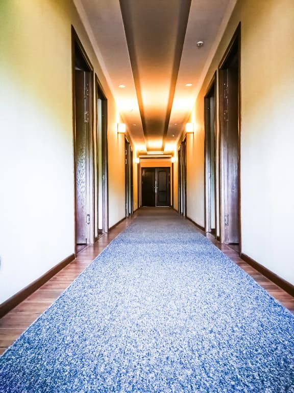 Salut Hotel