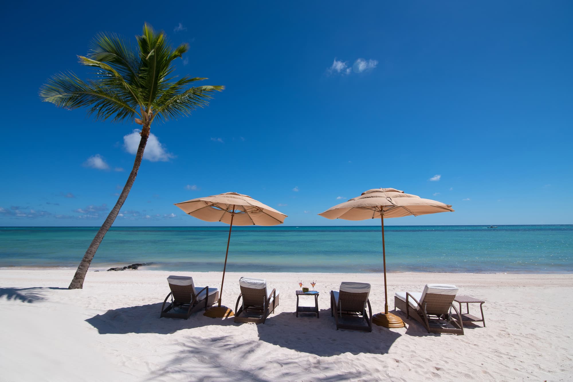 Tortuga Bay