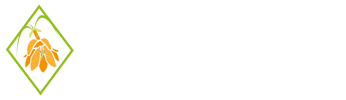 Casa Passiflora Hotel Boutique - Jardín