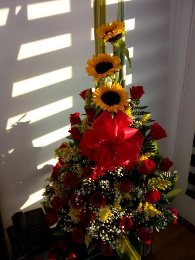 Hotel Santafe Real