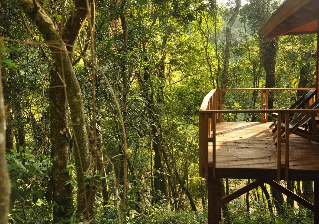 Mocona Virgin Lodge