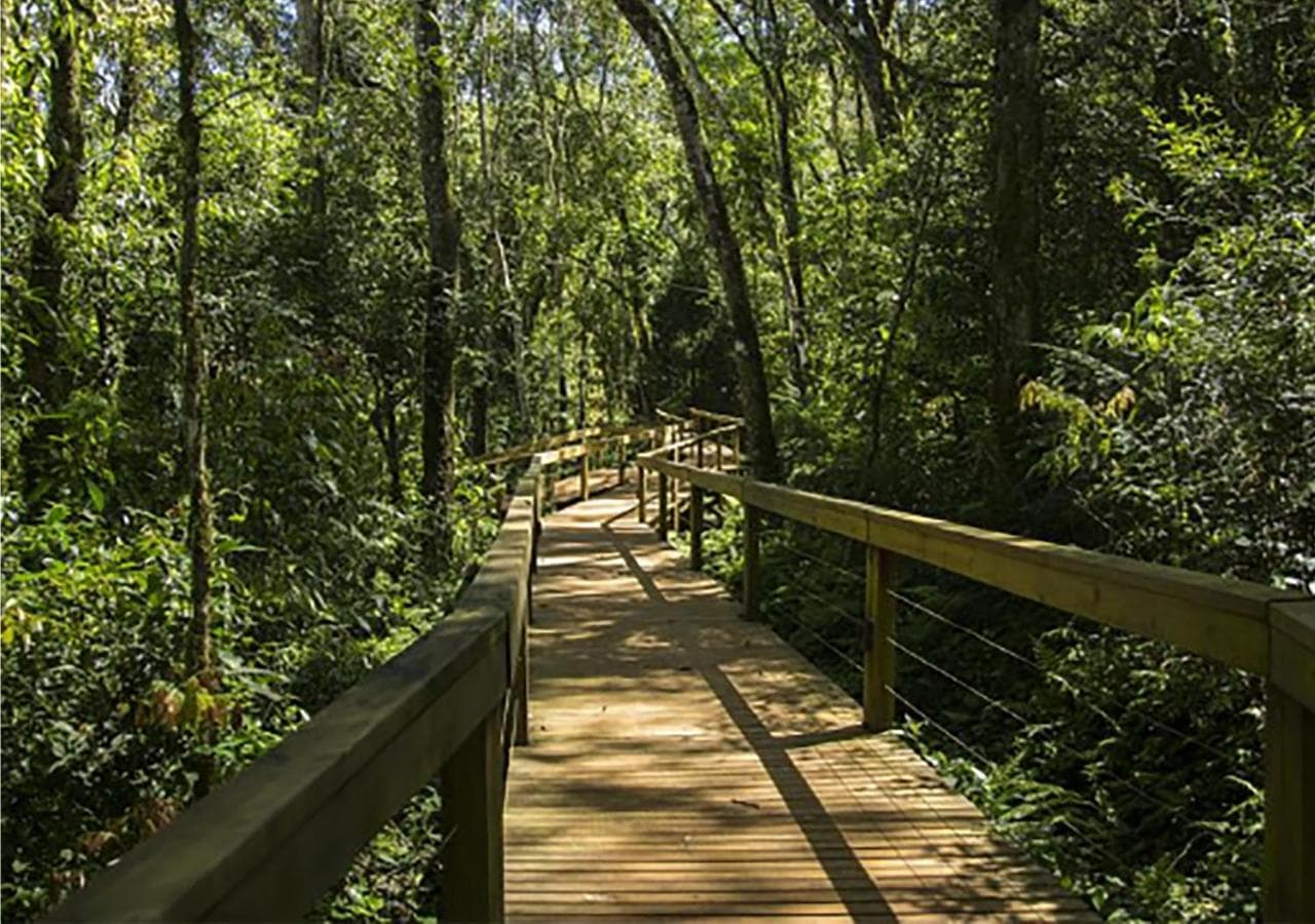 Mocona Virgin Lodge
