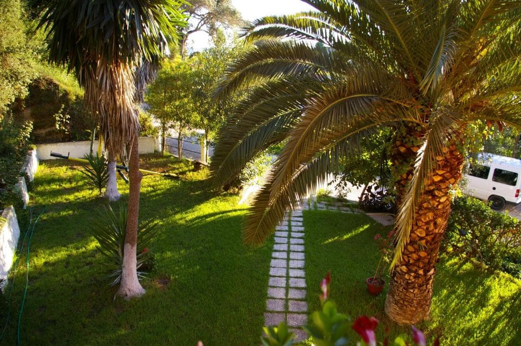 Angeliki Apartments
