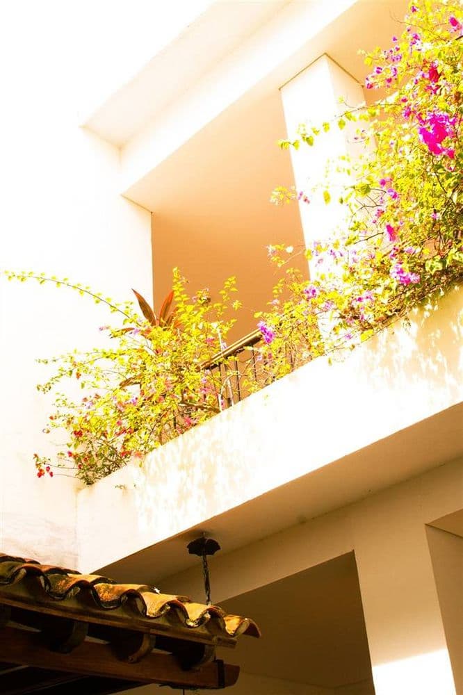 Bioma Boutique Hotel