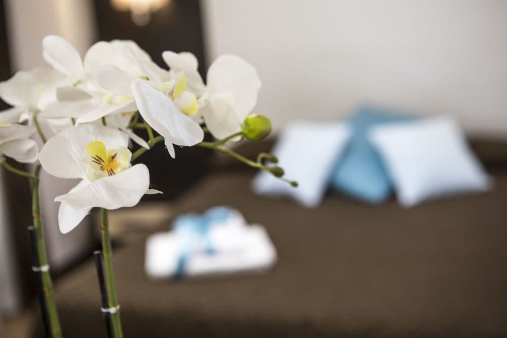 Dreams Of Rome Hotel Bed and Breakfast Roma